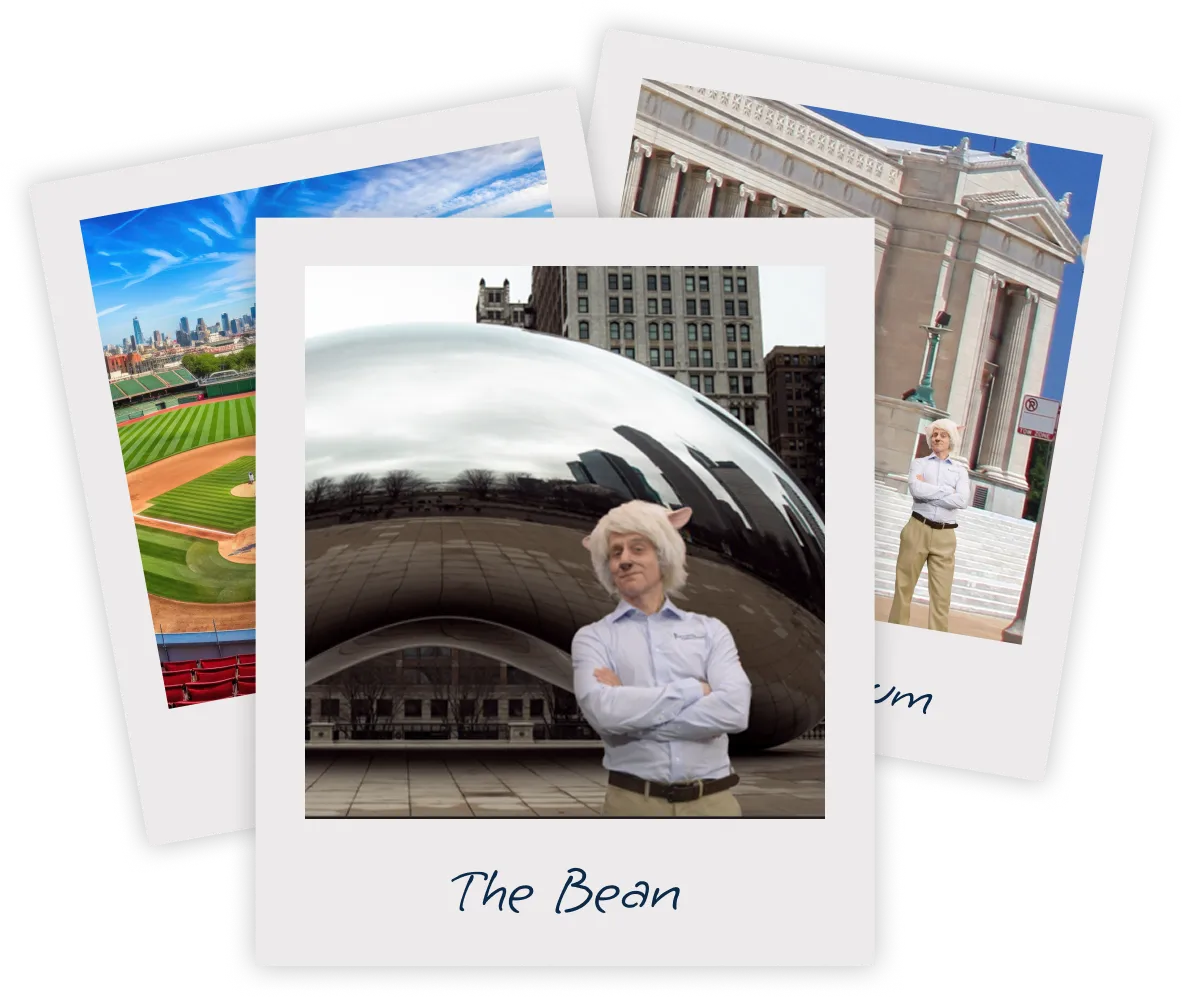 Polaroids of Sheldon the Sheep